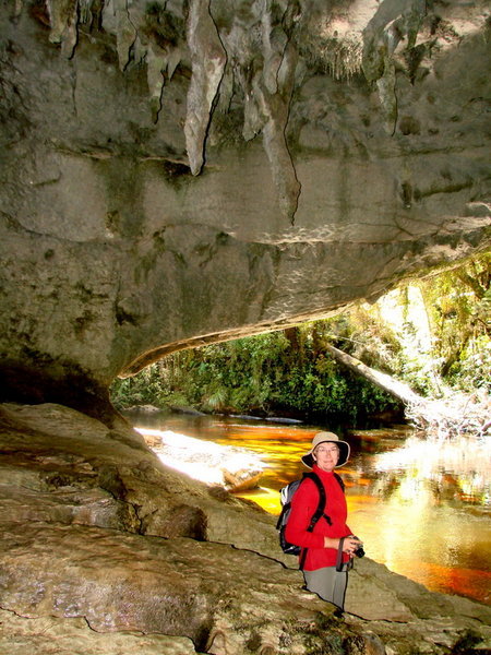 Oparara Limestone Caves