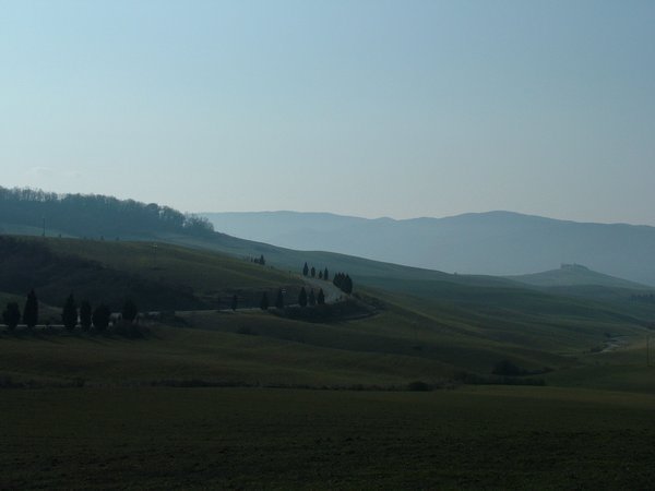 Tuscan scene
