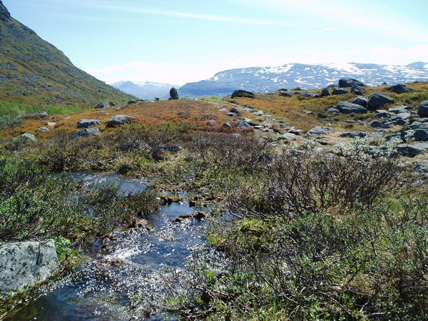 The Kungsleden Path