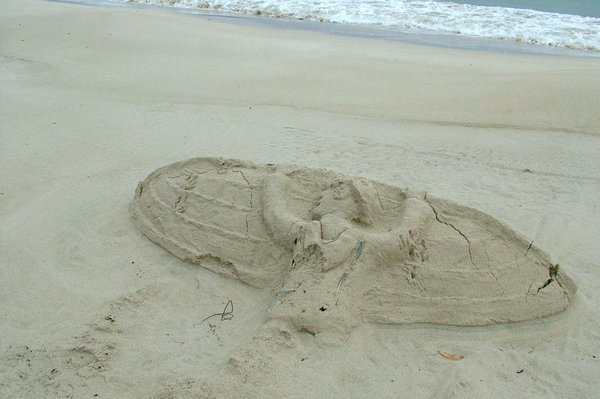 Sand Sculptures on the beach