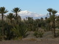 Snow in the High Atlas