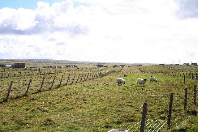 Crofter's narrow strip fields