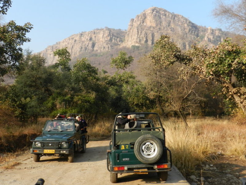 Safari Jeeps