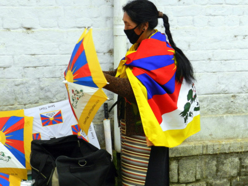 Marching for Tibet (4)