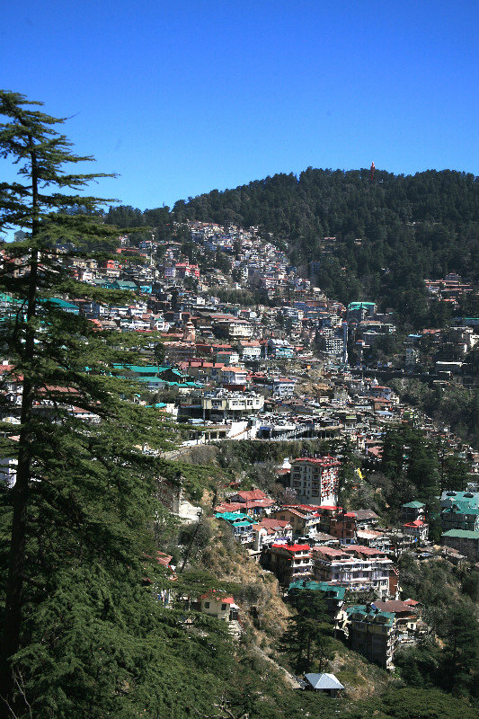 Shimla (2)