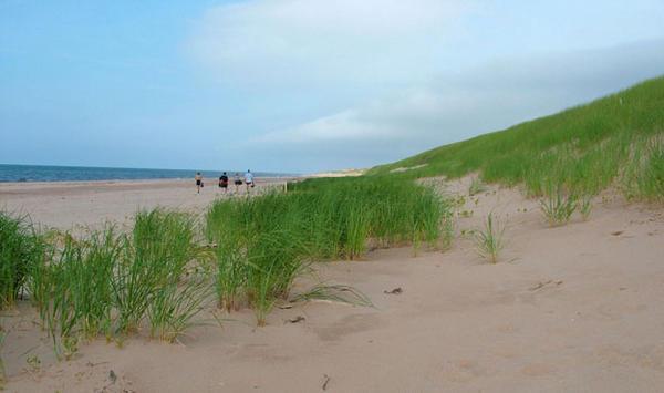 Dunes on North of PEI