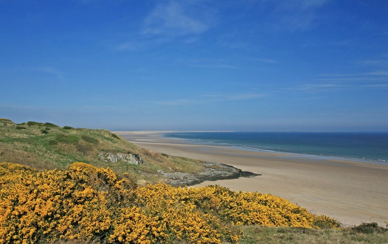 Spring on the Northumberland coast