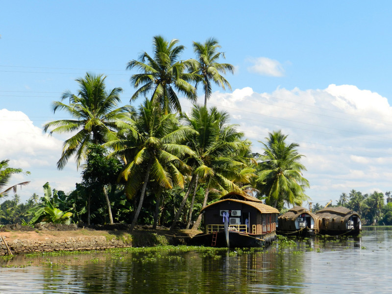 Keralan backwaters
