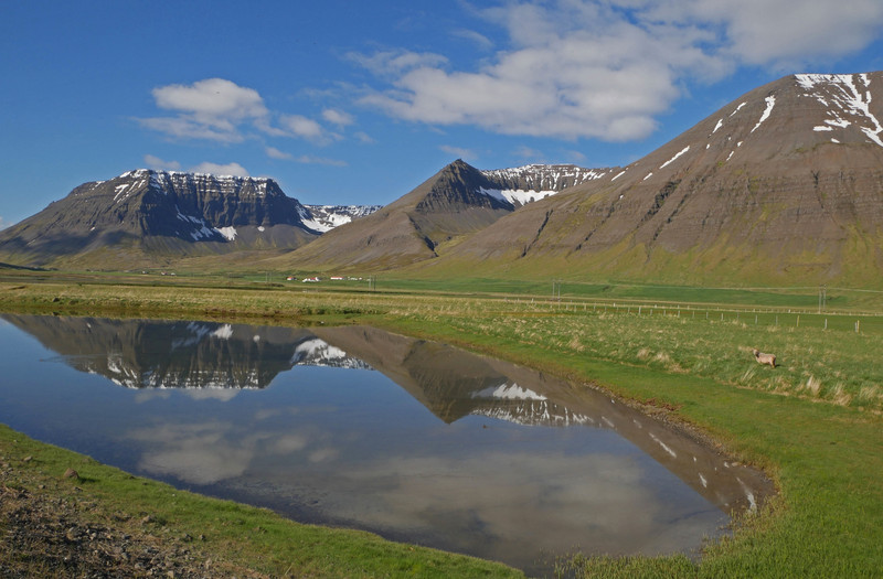 Typical Westfjords scenery