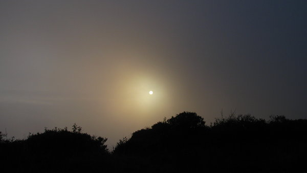 Sun behind Fog