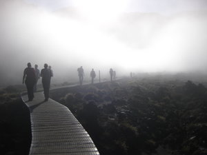 Through the mist to Mt Tongariro