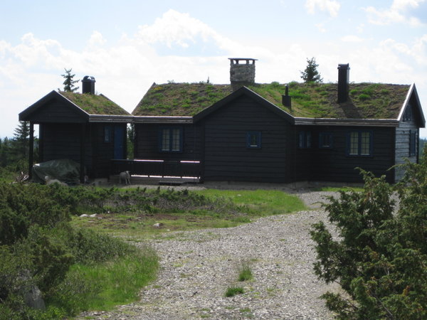 Norwegian cottage with turf roof and sheep in the yard