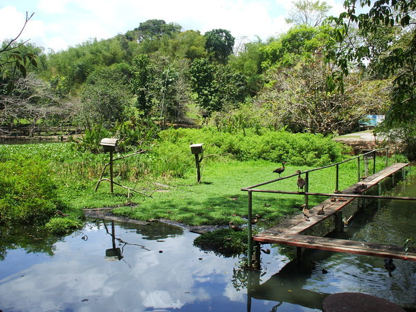 Dangerous Walkway!