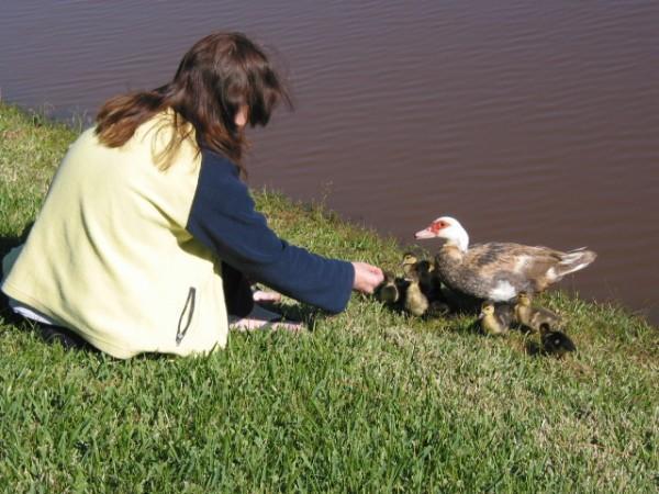 Ducklings December 04