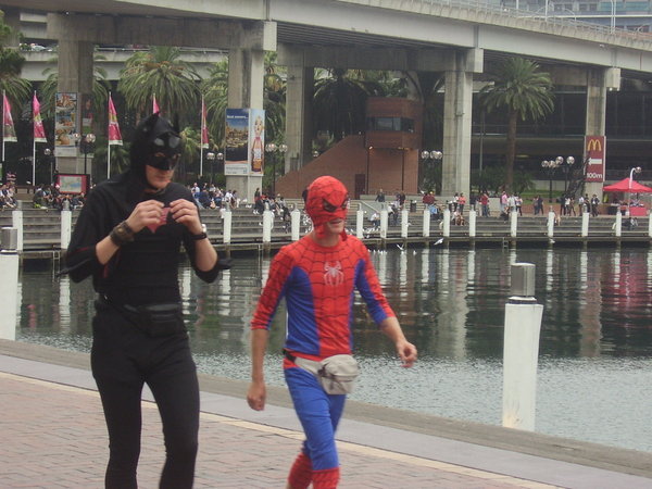 Batman and spiderman