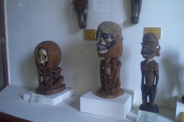skulls in the national museum