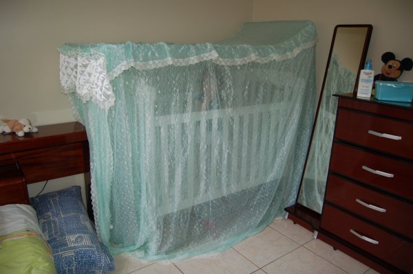 Mosquito Net Down