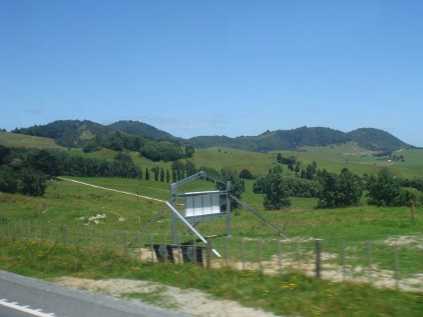 NZ countryside