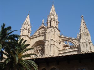 Palma Catedral