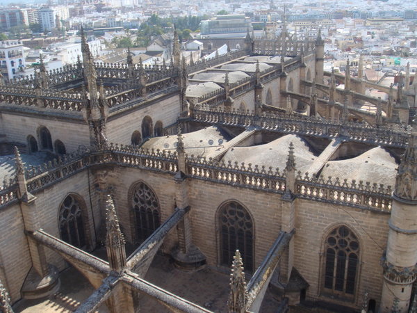 Catedral from above