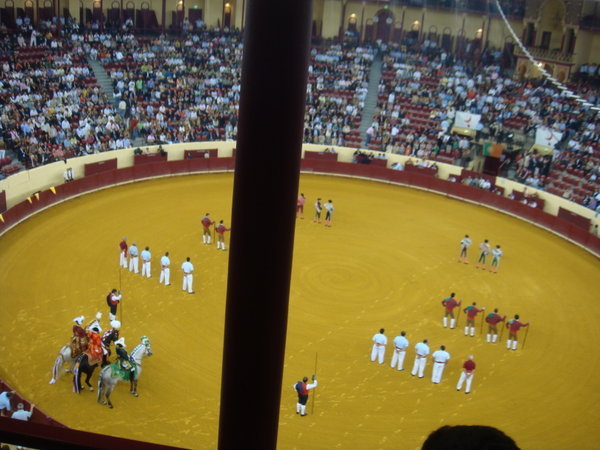Bull Fight in Portugal