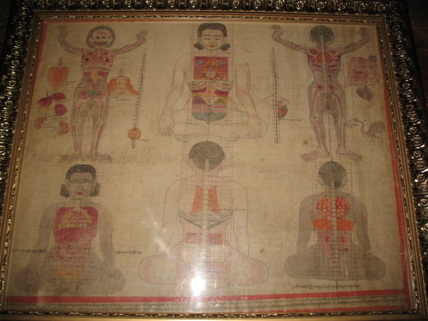 Tibetan anatomical chart of medicine