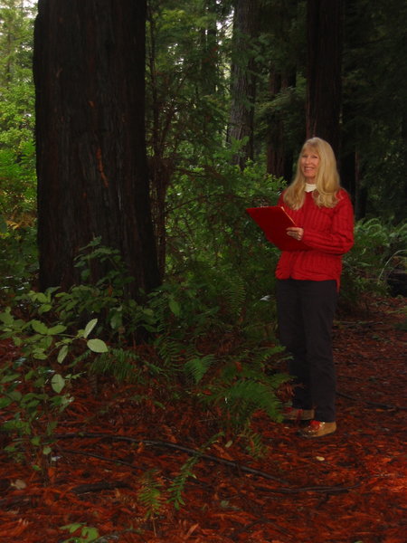 Dr. Betsy Herbert working in the redwood forest