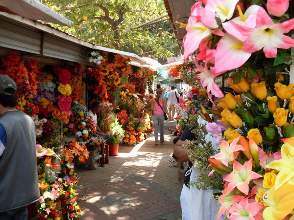 Flower market in the old town