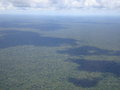 Amazon Jungle from above