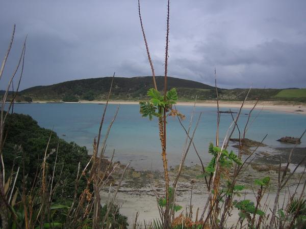 Matai beach