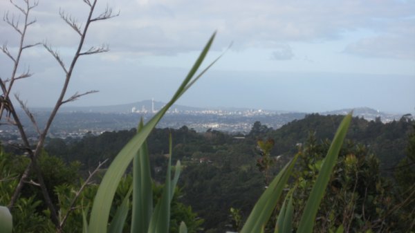 Auckland from Waitakere Ranges