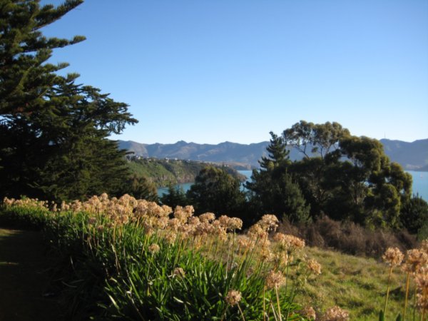 View from Diamond Harbour
