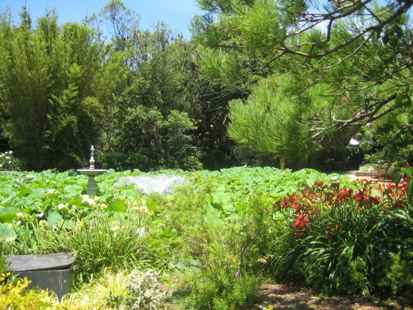 More Botantic Gardens