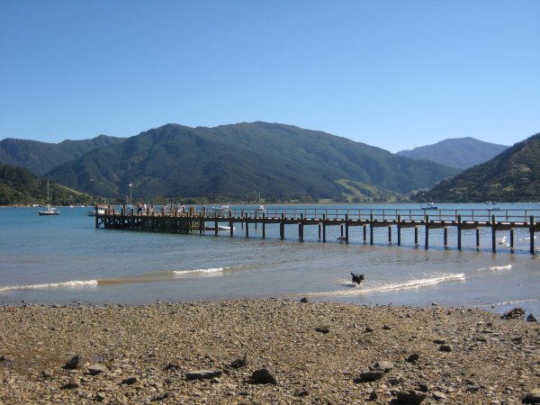 The Pier at Anakiwa