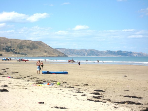 Crowded NZ Beach