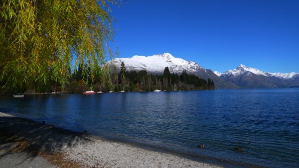 The Lake adjoining Queenstown #1