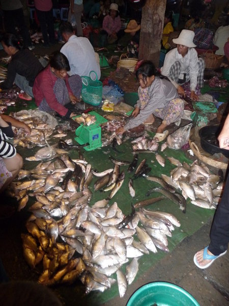 Fishing in the Market