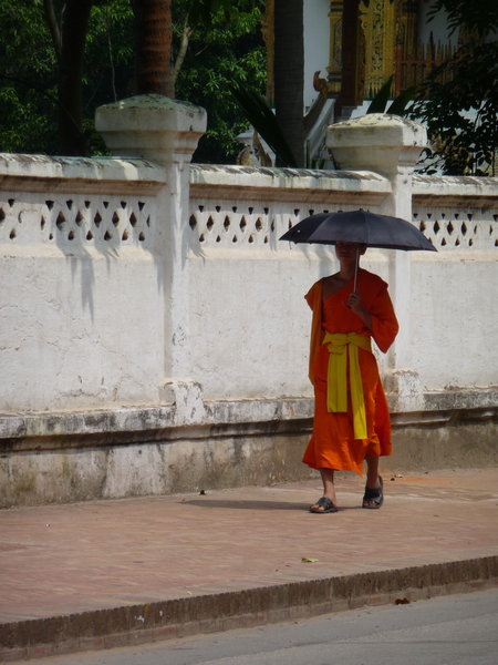 Luang Prabang Monk