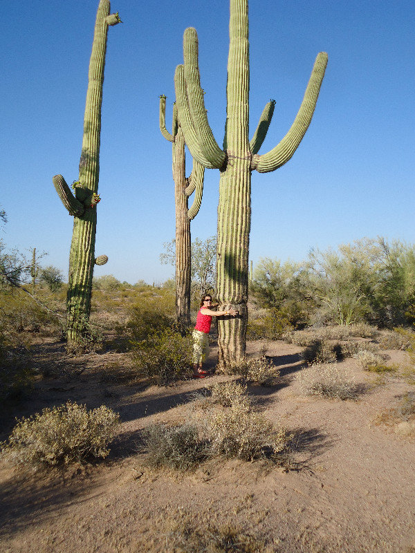 moe hugging cactus