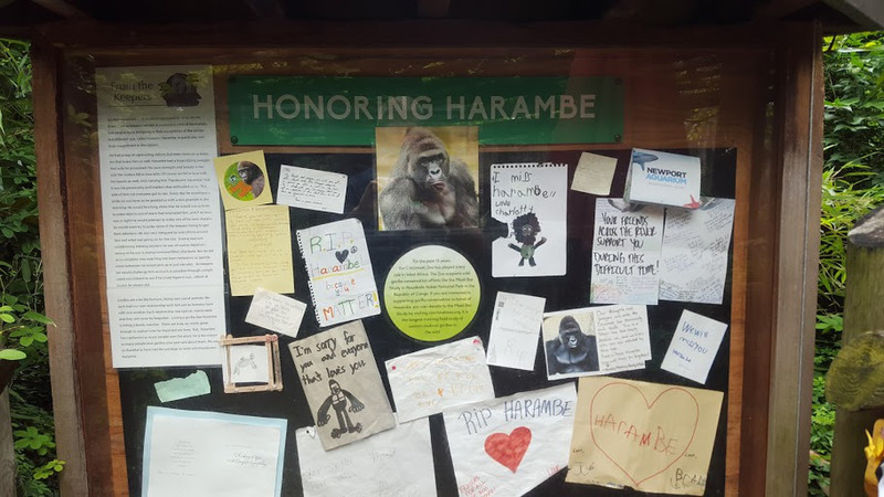 Honoring Harambe
