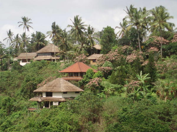 Houses around Ubud