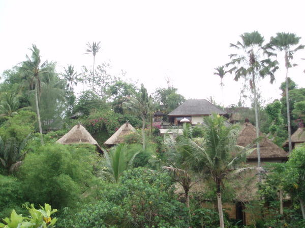 Roof tops in Bali