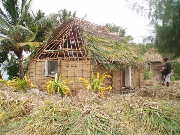 Villagers building a hut!!
