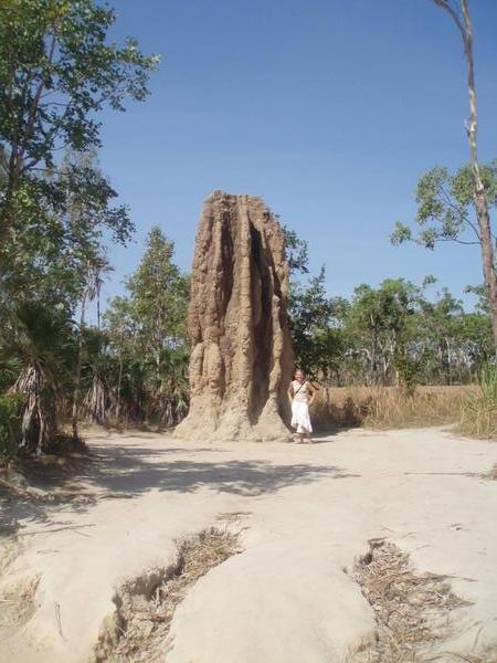 The Cathedral Termite mounds