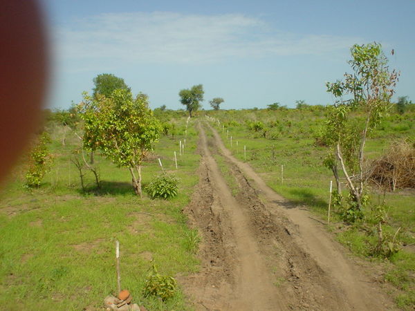 Road in Kurmuk