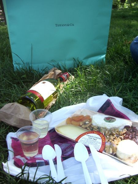 Our picnic in Central Park