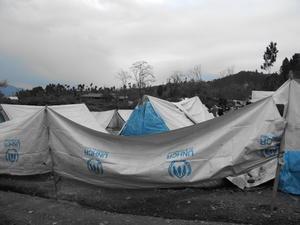 UNHCR standards