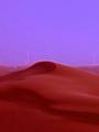 Purple Dune