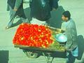 Bright Red Tomatoes from Mansehra