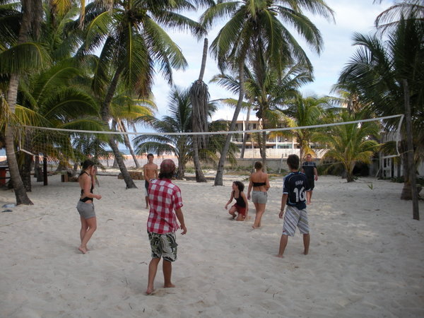 Beach volleyball - under palm trees!
